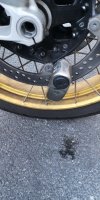 IMG_20250917_185714.jpg