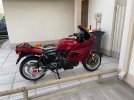 IMG_3245.jpeg