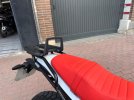 IMG_1772.jpeg