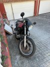 IMG_8294.jpg
