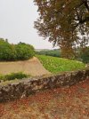 20250817_150406.jpg 20250817_150406.jpg