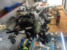 IMG_8028.jpeg