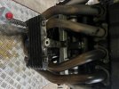 IMG_8043.jpeg