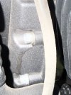 IMG_8508.jpeg