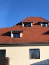 IMG_6361.jpeg