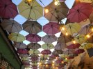 IMG_6404.jpeg