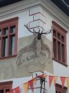 IMG_6415.jpeg