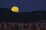68e4a6b7bd134.webp