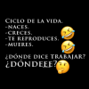 1760182494574.png