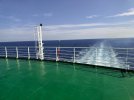 IMG_20251004_120218.jpg