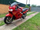 IMG_0025.jpeg