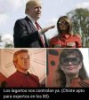 18093.jpg