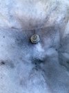 IMG_4500.jpeg