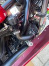 IMG_4534.jpeg