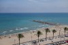 DSC00050.jpg