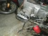 DSCF6386.jpg