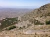 IMG_1206.jpg