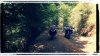 20160903_161719 copy.jpg