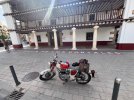 IMG_3581.jpeg