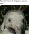 34849.jpg