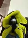 IMG_4733.jpeg IMG_4733.jpeg