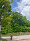 IMG_1541.jpeg