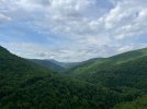 IMG_1540.jpeg