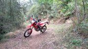 IMG20260426191011.jpg