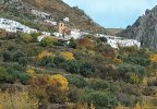 IMG_0882.jpeg