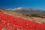 IMG_0877.jpeg