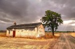 IMG_0891.jpeg
