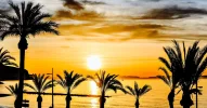 1000003203.webp