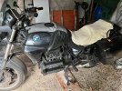 IMG_3326.jpeg