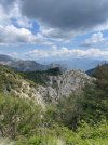 IMG_6173.jpeg