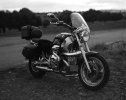 IMG_5363.jpeg