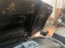IMG_1832.JPEG IMG_1832.JPEG