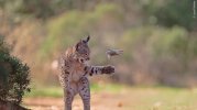 IMG_0949.jpeg