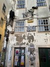 IMG_2321.jpeg