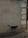 IMG_1514.jpeg IMG_1514.jpeg