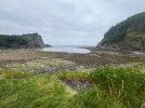 IMG_6123.jpeg