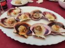 IMG_20260530_141016.jpg