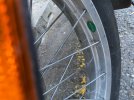 IMG_2357.jpeg IMG_2357.jpeg