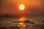 IMG_1004.webp IMG_1004.webp