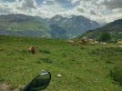 IMG_20260607_121200_HDR.jpg