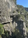 IMG_1449.jpeg
