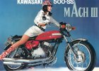 Kawasaki.jpg
