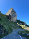 IMG_6390.jpeg