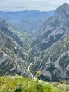 IMG_1963.jpeg