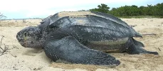 IMG_1021.webp IMG_1021.webp