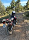 IMG_7982.jpeg